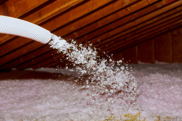 Best Specialized Insulation Services in Eagle Lake, WI