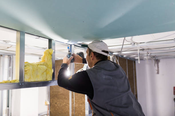 Best Eco-Friendly Insulation in Eagle Lake, WI