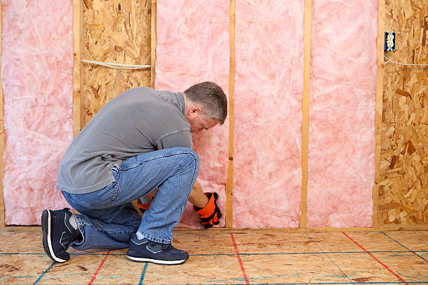 Best Insulation Maintenance and Repair in Eagle Lake, WI